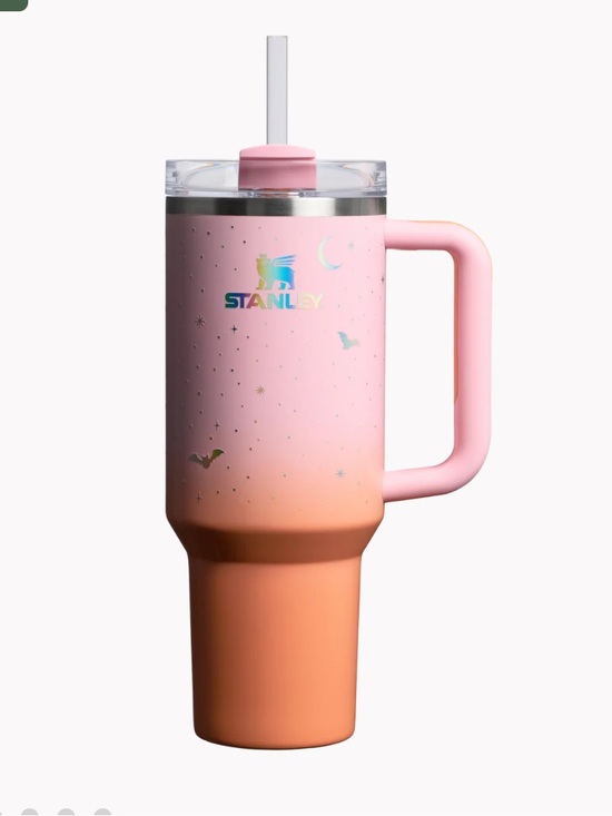 Stanley Other - Stanley Spellcast Pink Insulated Travel Mug 40oz Handle Halloween bags 🎃 🦇
